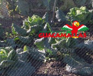 Red anti pájaros en hortalizas