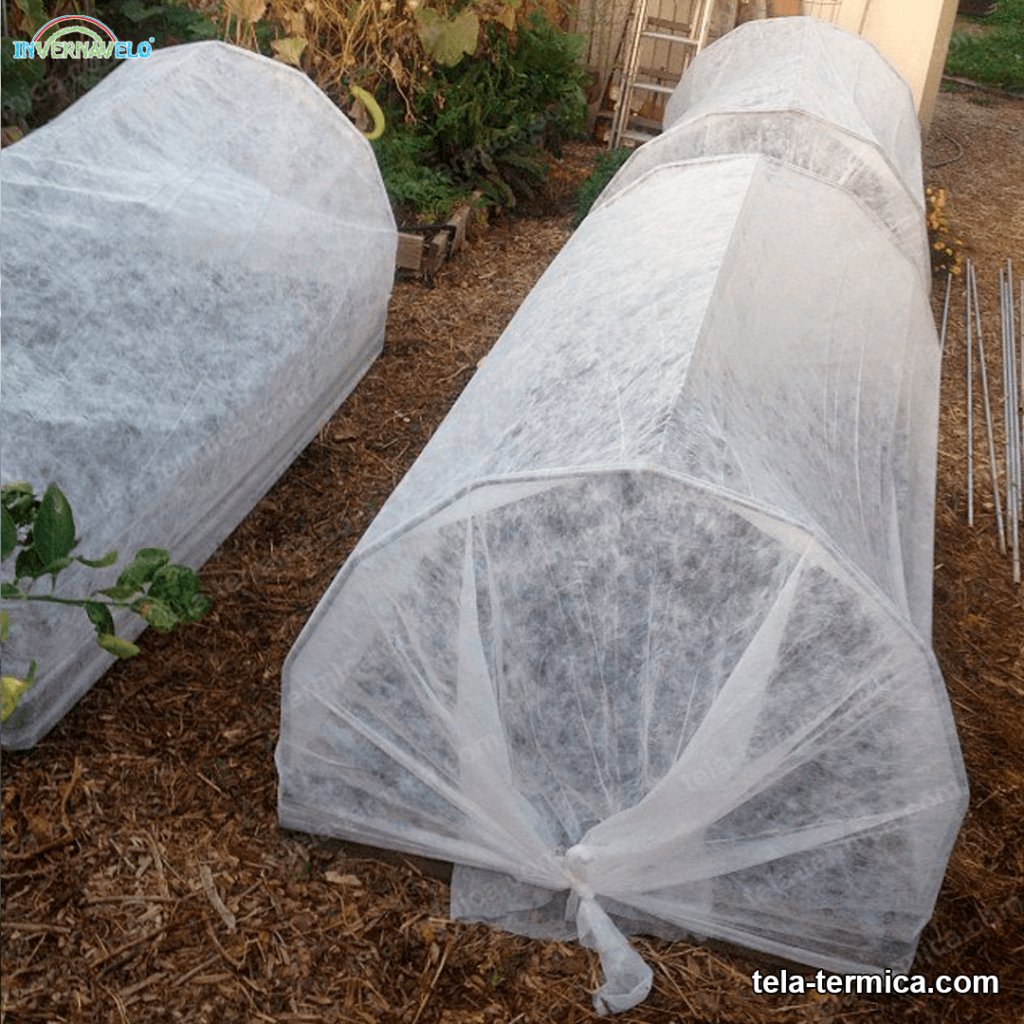Recomendaciones al instalar una manta térmica en cultivo de hortalizas -  INVERNAVELO tela termica